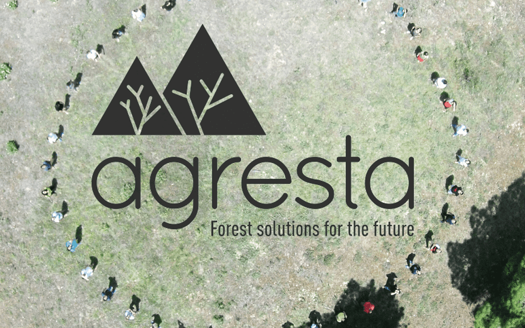 Nueva identidad, estrategia y materiales · Agresta