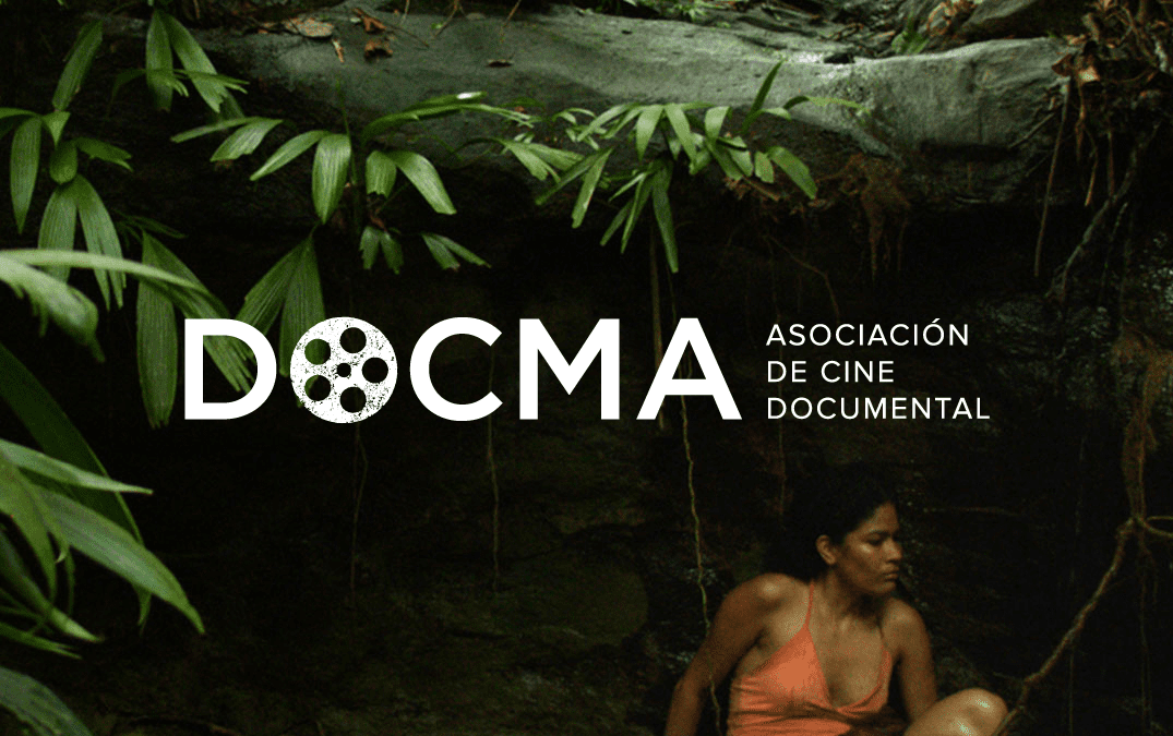 Identidad, materiales y web · DOCMA