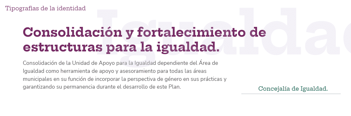 IV Plan de Igualdad y Transversalidad de Género