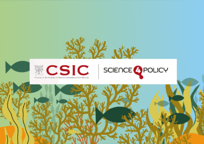 Science4Policy (Ciencia para las políticas públicas) · CSIC