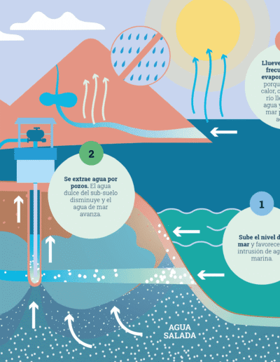 Science4Policy