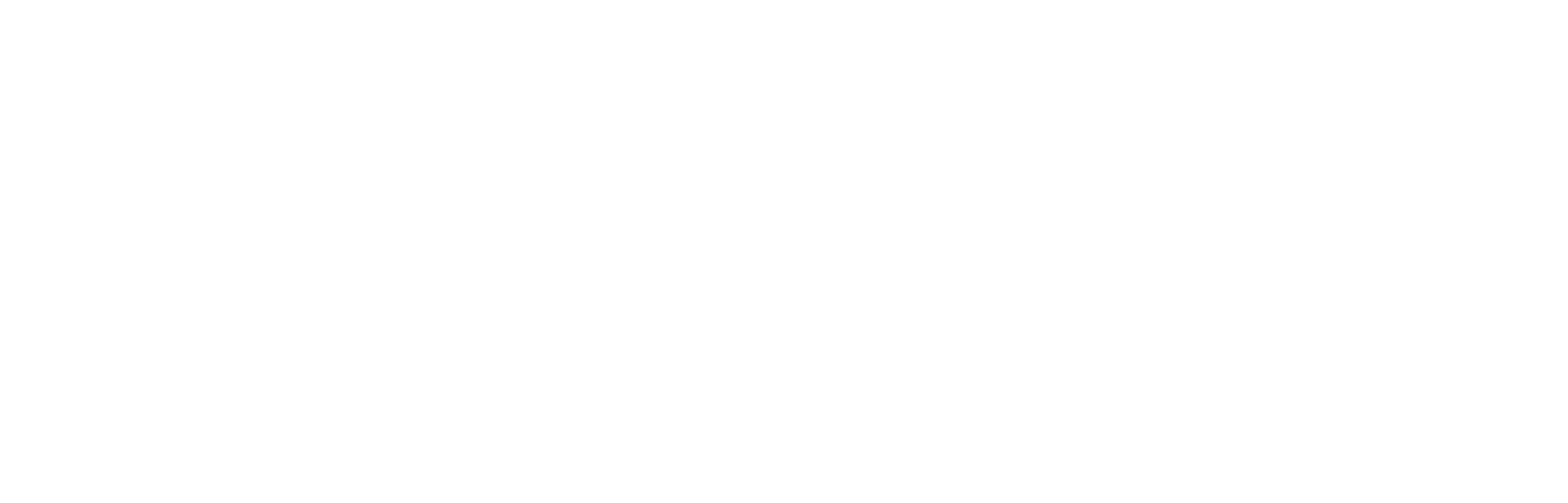 APAEMA_Logotip_Horitzontal_Negatiu APAEMA